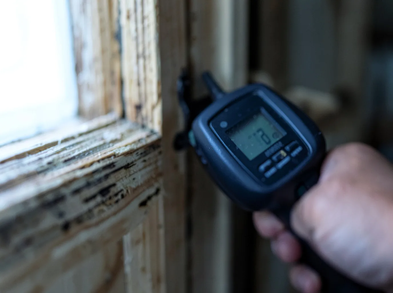 Moisture Inspection And Documentation in Cutchogue, NY